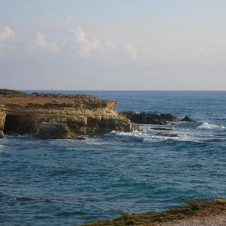 Athena פאהיה